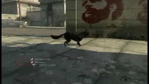 black ops tomahawk killed a dog