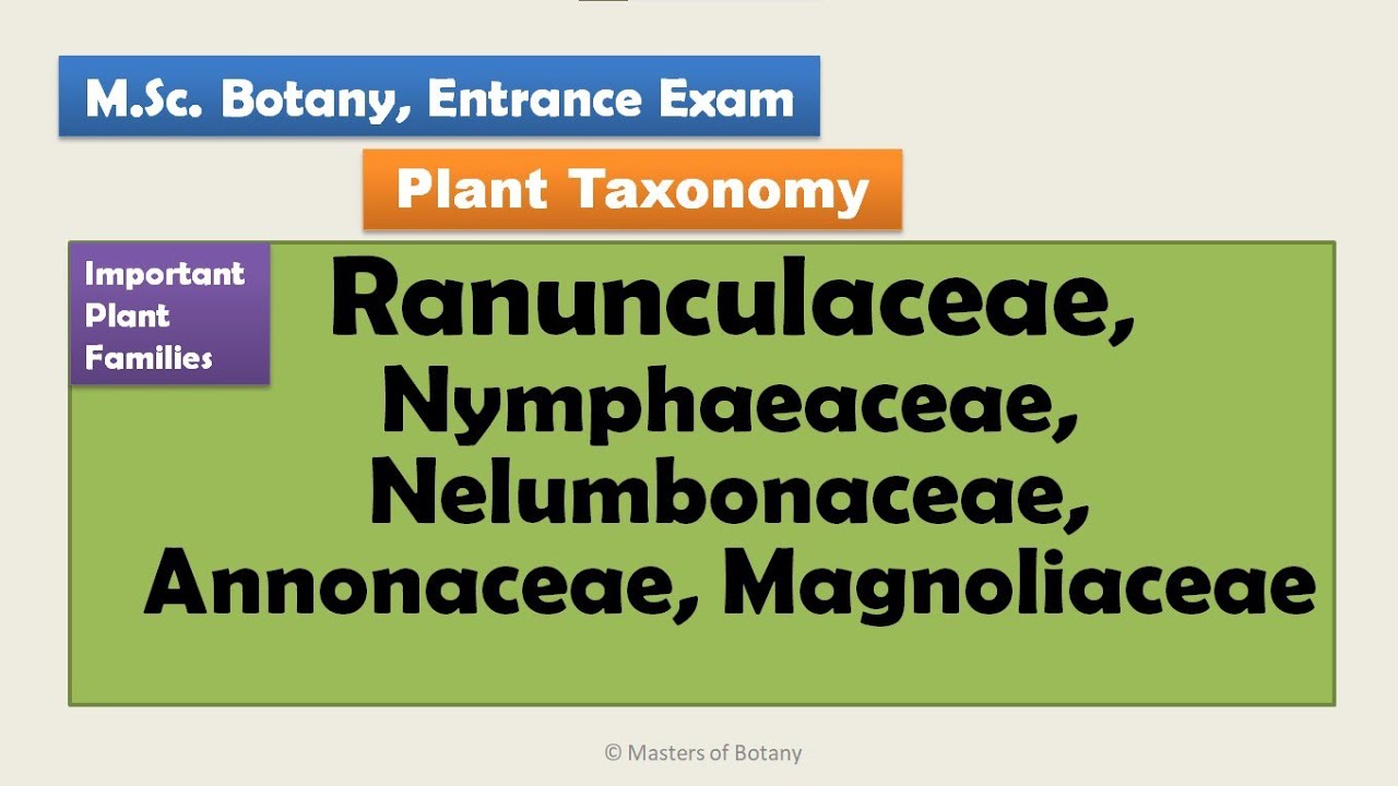 M.Sc. Botany Entrance | Angiosperm Families | Important Notes