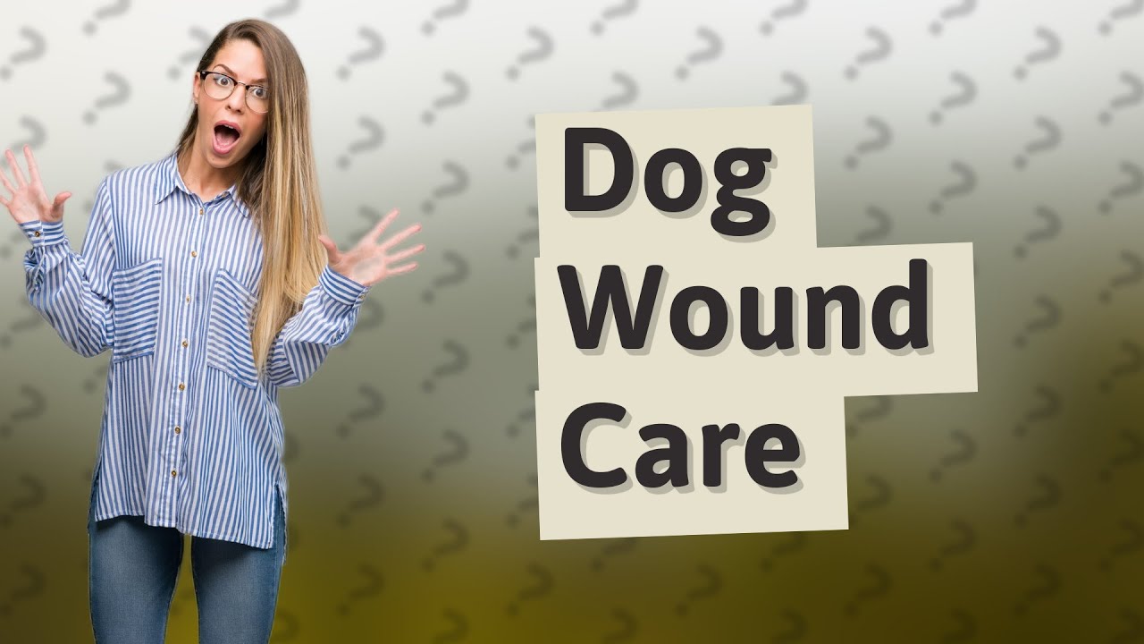 Is it OK to put Vaseline on a dog's wound? YouTube