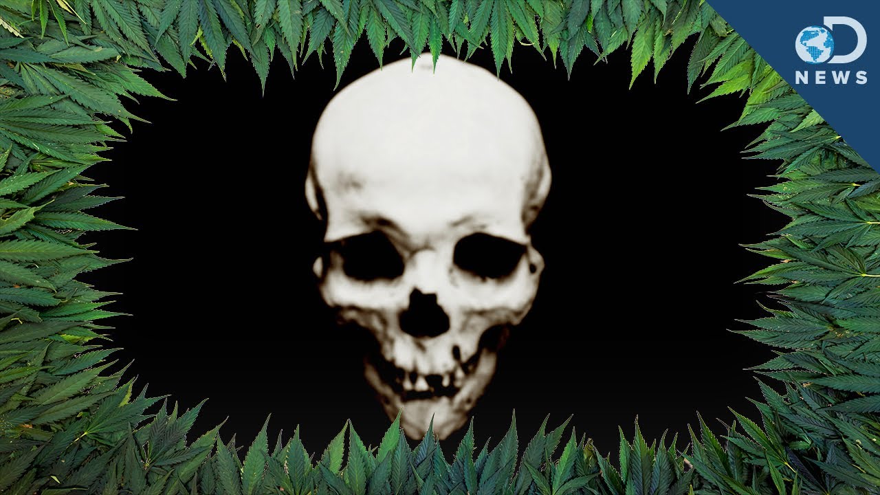 World's First Marijuana Overdose?