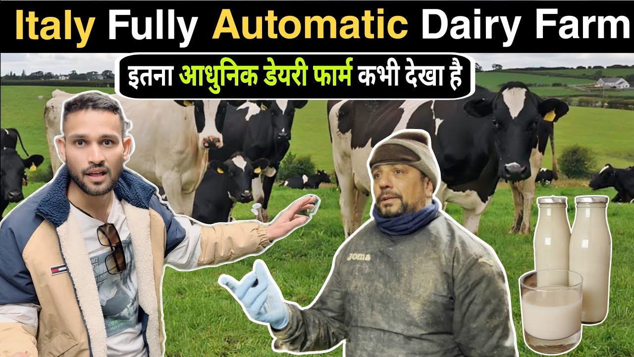 Italy Fully Automatic Dairy Farm | Hindi Italy Vlog | इतनी आधुनिक डेयरी फार्म कभी देखी है..
