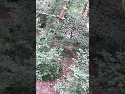 Goape Cockfosters Tarzan Swing Youtube