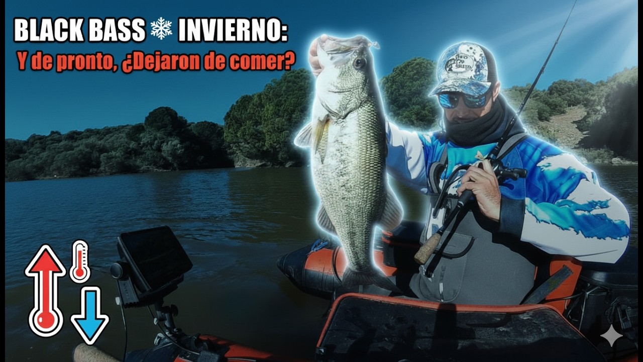 INCREÍBLE jornada de pesca de BLACK BASS: de la ACTIVIDAD a la CALMA total