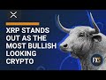 XRP price stands out as the most bullish looking crypto