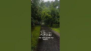 سورة التغابن بصوت رعد الكردي #القرآن_الكريم #قرآن #قرآن_كريم #تلاوة #اسلاميات #راحة_القلب #شورت #غزة