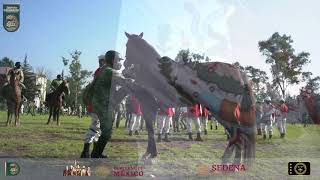 Desde La Raiz - Jaime Flores - (BICENTENARIO DE LA CONSUMACIÓN DE LA INDEPENDENCIA EN MÉXICO)