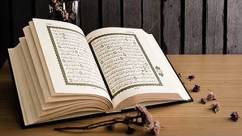 سورة الحجرات الآية ١٢ بصوت القارئ ياســـر ممدوح ❀
