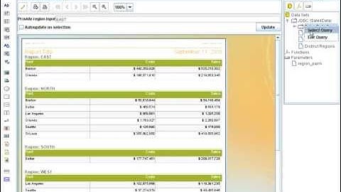 Report Design - Parameters and Prompts