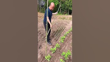 Vegetable bamboo frame installation process #machine #goodtools #shorts