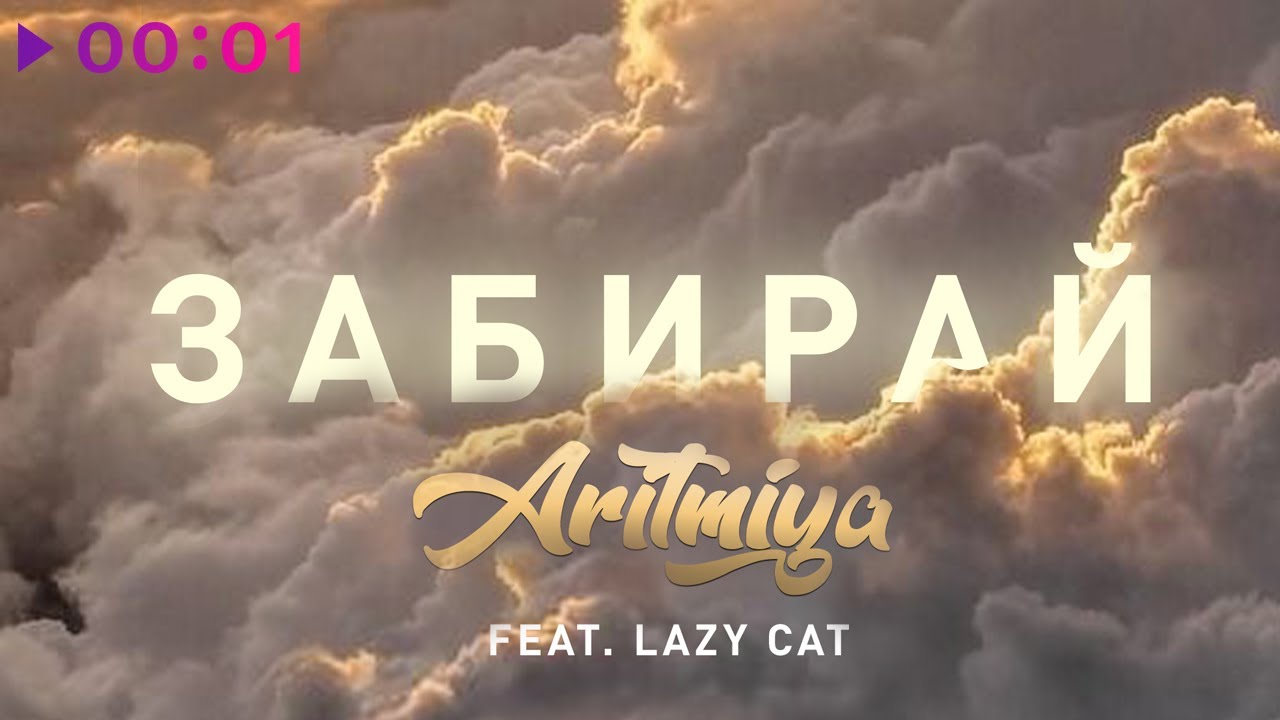 Lazy Cat аритмия. Аритмия помада. Aritmiya, Lazy Cat значит не любил. Album Art Music aritmiya, Lazy Cat – друг или враг.