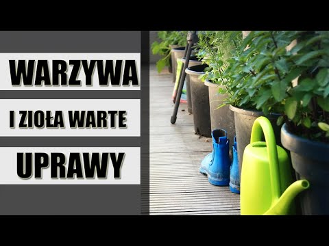 Wideo: Jak Zaoszczędzić Pieniądze, Uprawiając Rośliny W Ogrodzie