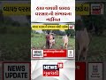 Weather Forecast News | હાલ વાવણી લાયક વરસાદની સંભાવના નહિં  | Shorts | Gujarati News