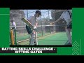 Batting skills challenge   hitting gates