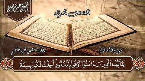 سورة المائدة كاملة للشيخ الفاضل حسن / حسن صالح 🧡