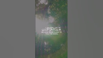 سورة الحديد || اعلموا ان الله يحي الارض بعد موتها / القارئ شريف مصطفى ||✨.