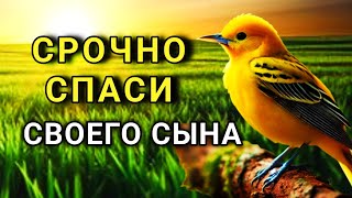 видео: Повторите эту молитву и ваш СЫН будет под защитой! Лучшие молитвы, слушать минимум один раз в день 🤲 картинка: Повторите эту молитву и ваш СЫН будет под защитой! Лучшие молитвы, слушать минимум один раз в день 🤲