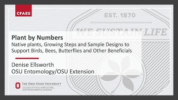 Plant by Numbers  - Protecting Pollinators One Garden at a Time