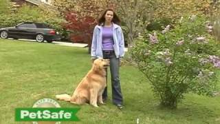 How to Train Your Dog on the PetSafe® Containment System