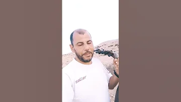 قصيدة لا أشبهني كلمات وعزف على آلة العود محم د بي ولي 