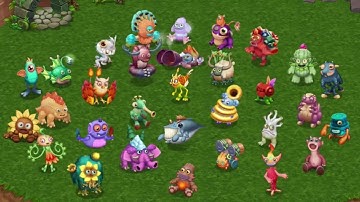 The Continent(Amber island) - MSM DOF