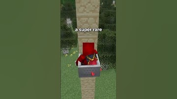 The Rarest Death in Minecraft
