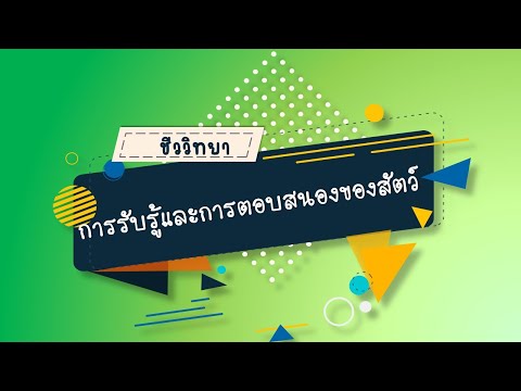 การรับรู้และการตอบสนองของสัตว์ วิชาชีววิทยา ม.6