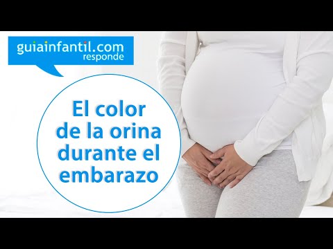 Video: Análisis De Orina Durante El Embarazo: Transcripción