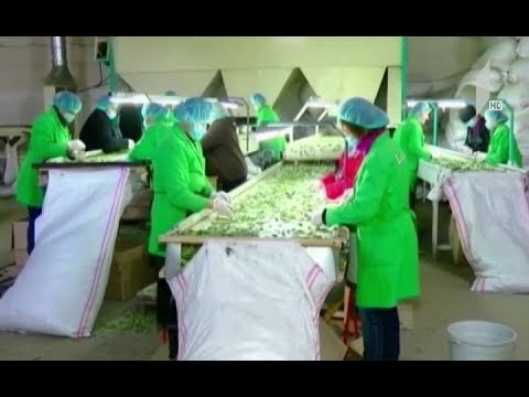 \"ერთიანი აგროპროექტის\" პროგრამა