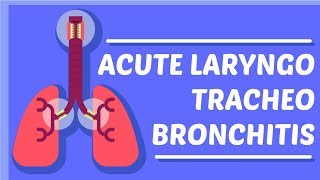 What is Croup/Acute Laryngo-Traccheo-Bronchitis?