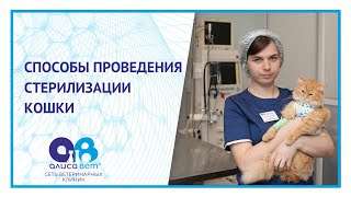 Техники операций при стерилизации кошки Техники операций при стерилизации кошки