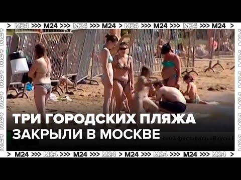 Три городских пляжа закрыли в Москве - Москва 24