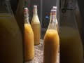 home-brewed kombucha!!