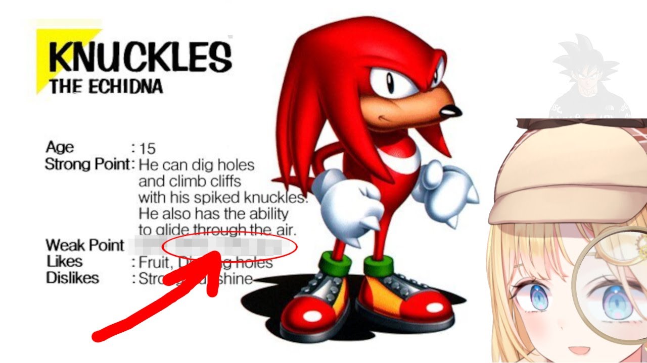 The truth about Knuckles the Echidna - YouTube