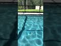 Custom Pool & Spa with Stunning Turtle Mosaic #backyardoasis #luxurypool #pool #swimmingpool