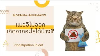 ปัญหาแมวท้องผูก ( constipation in cat ) เกิดจากอะไร มีวิธีแก้ไขอย่างไร #อาหารไฟเบอร์ #แมวอึไม่ออก