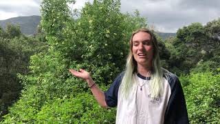 Sarah's Interpretive Program Maintain the Land