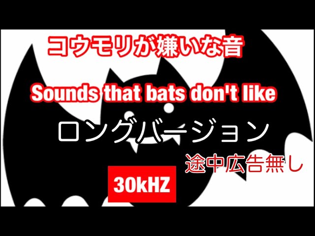 バージョンup コウモリが嫌いな音 ロングバージョンで途中広告も無し コウモリが嫌いな音コウモリ撃退音 Bat Repulsion Sound Youtube