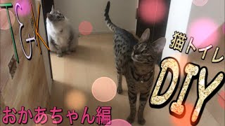 猫トイレのDIY  おかあちゃん編　　　塗装作業　　サバンナキャット ラグドールノルウェージャン