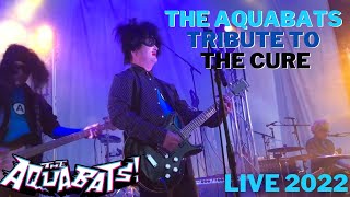 The Aquabats Tribute to the Cure - In Between Days LIVE 2022