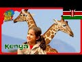 🦒 Visiting the Giraffe Center in Kenya 🇰🇪 | How to Travel with Kids @Smart_Kids_Youtube