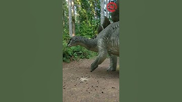 Arloopa - Stegosaurus Dinosaur - 3D Model