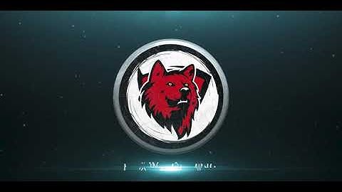 Channel name changing to Foxinz Gaming and new Intro Video | Foxinz gaming