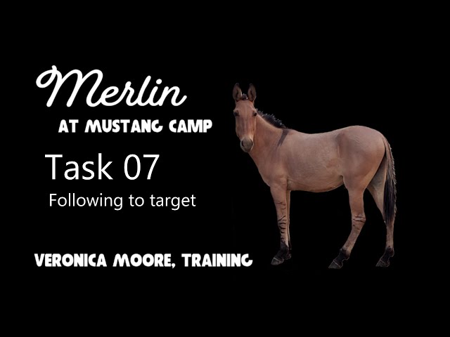 Task 07 Merlin the Mule: Following to Target