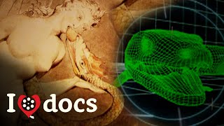 Did Snakes Have Legs In Ancient Times? - The Seduction Of Eve - Archaeology Documentary