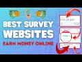 Best Website to Earn Online With Proof  Online Surveys ...