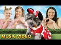 &quot;FLUFF OF YOU&quot; (Ed Sheeran “Shape of You” MUSIC VIDEO PARODY)