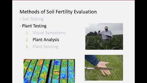 Week 2 - Plant Testing (ENR 5270 - Soil Fertility)