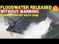 Floodwater Released Without Warning; Severe Floods Hit South China, Embankments & Bridges Collapsed!