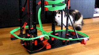 Fischer Technik Dynamic Kugelbahn starring: Hermine The Cat