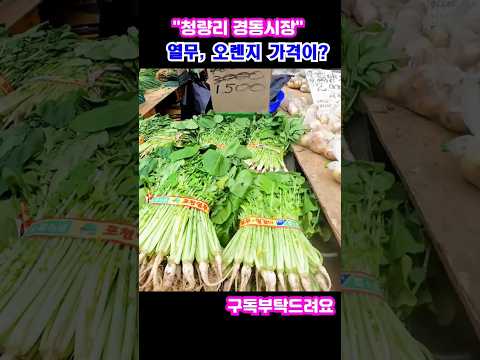 "청량리경동시장" 열무,오렌지 가격은?
